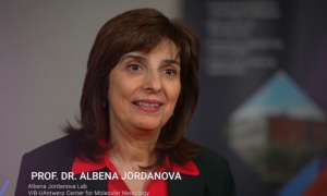 ����. ������ ��������� � ����������� ������� �� ����� �������