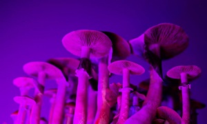 ����� ��������� ��������� �� �������� �� ���������� �� ���������� ����