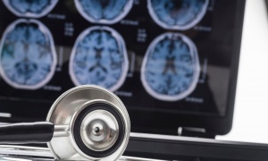 ��� ����� ���� �� �������� �� �������� �� ���������