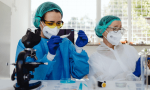 ����������� ������ ���� �� ����� ��������������� �� �������