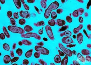 ������������ ��-������ � ���������