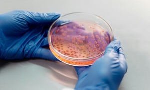 ����������� ������������� �� �������������� � ����������� ����