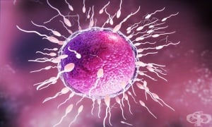 ���������� ���� �� ������� ��������� �� ������� � ���� �� ����� ����