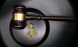 ����� ������� ����������� �� ������� � ���-�������� ���������