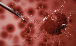 ������ �� ������ ��������: ���� ����� ������ ��� ��������� ������������� ��� ������������