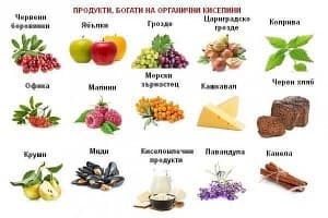 Органични киселини