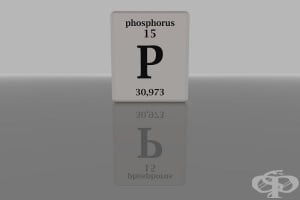 Фосфор - роля в организма и хранителни източници