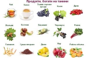 Танини
