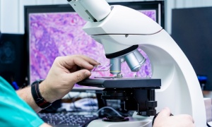 ������������ ����������