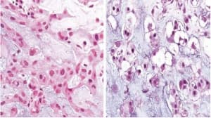 ��������� �� �������