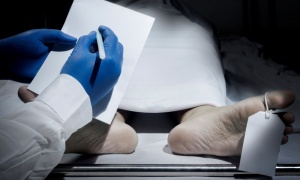 ������������ � ������������ ���������� �� �����