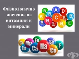 ������������ �������� �� �������� � ��������