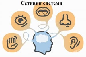 ������� �������