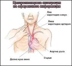 ��������������� ���������� �� ����������� ����������