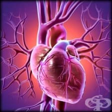 ���������� �� ��������-�������� �������