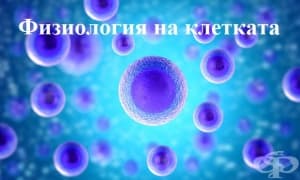 ���������� �� ��������