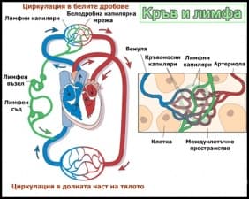 ���� � �����