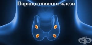 ������� � ������� �� ��������������� �����