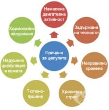 Какви са причините за появата на целулит?
