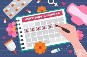 Особености в менструалния цикъл