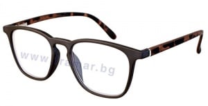    FOSTER GRANT E-READERS 15942/01 +2.50 