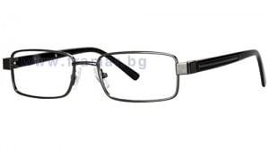    FOSTER GRANT 14004/01 +2.00 A