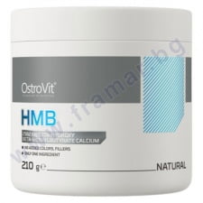 �������� �������� ����� ������� (HMB) ���� 210 �
