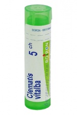 КЛЕМАТИС ВИТАЛБА 5 CH