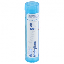 ���� �������� 9 ��