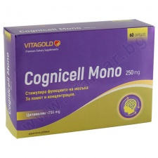 �������� ���� ������� * 60 ��������