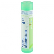 ������ ���������� 5 ��