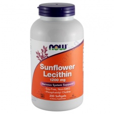 ��� ���� ������������ ������� ������� 1200 �� * 200