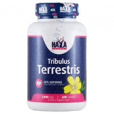 ��� ���� �������� ��������� �������� 1000 �� * 200