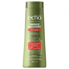 ������� �� ���� � ��������� ���� 400 �� ECHO