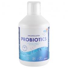 ������ ����� ��������� �������� ����� 500 ��