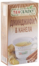 ЧАЙ ФИЛТЪР СЕЛЕКТ ДЖИНДЖИФИЛОВ С КАНЕЛА * 20