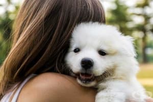 Кучето: Истинска терапия за своите стопани