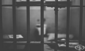 Как невронауката може да подобри живота на лишените от свобода