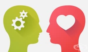IQ или EQ: Кое е по-важно?
