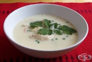 ���� ����