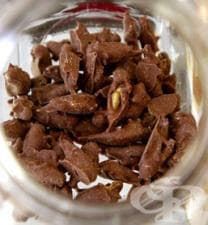 ���������� ��������