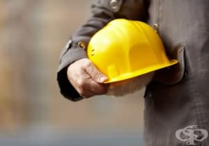 14 ������ ������� �� ��������� ����� �� �����