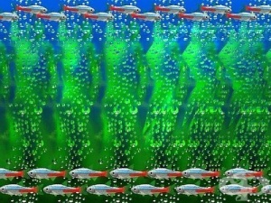 Гледайте полезни за зрението картинки - стереограми (първа част)
