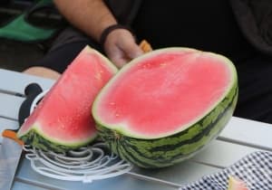 Избягвайте да консумирате диня, ако сте алергични към амброзия