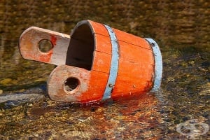 Лесни начини за пестене на водата за битови нужди