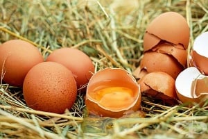Как да разберем пресни ли са яйцата