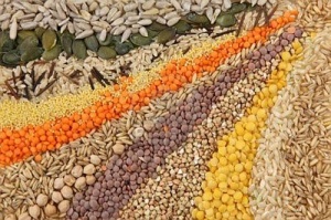 ����� ������ ������ ������ �� ���������� �� ��������� ��?