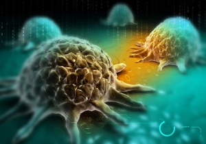 ������� 20 ����� ���� �� ������������ � ������� �� ���