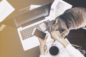 Данни на Евростат показват, че в България е най-малък броят на работещите от дома си