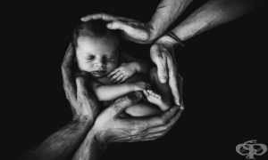 ����������� � ����������, ���������� ���  ��������� �� ������